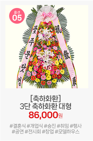 05번 대형 축하화환: 넓은 하단 구성으로 안정감과 존재감이 돋보여 개업식 입구 배치에 추천합니다.